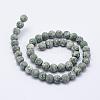 Natural Green Spot Jasper Beads Strands G-F518-26-6mm-2