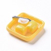Resin Cabochons LS-RESI-Z002-17-3