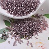 MIYUKI Delica Beads X-SEED-J020-DB0146-1