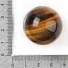 Natural Tiger Eye Sphere Beads G-I367-05C-2