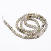 Natural Labradorite Bead Strands G-G735-29-4mm-2