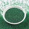 MIYUKI Round Rocailles Beads SEED-X0056-RR0173-2