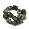 Natural Labradorite Beads Strands G-N342-146-2