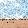Glass Frosted Seed Beads SEED-K009-05B-09-4