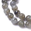 Natural Labradorite Beaded Necklace NJEW-I107-03-2