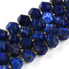 Natural Lapis Lazuli Beads Strands G-T140-11-2