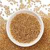 TOHO 8/0 Round Beads SEED-XTR08-0701-2