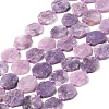 Natural Lepidolite Beads Strands G-L095-A01-01B-1