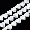 Natural Trochid Shell/Trochus Shell Beads Strands SSHEL-N034-98B-B01-1