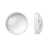 Transparent Glass Cabochons X-GGLA-R026-8mm-1