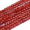 Natural Carnelian Beads Strands G-E530-07AM-1