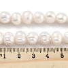 Natural Cultured Freshwater Pearl Beads Strands PEAR-C003-14A-5