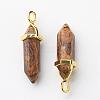 Natural Picture Jasper Double Terminated Pointed Pendants G-G902-B12-1