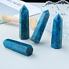 Point Tower Natural Apatite Home Display Decoration PW-WG91959-03-1