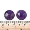 Natural Amethyst & Amazonite & African Turquoise(Jasper) & Lapis Lazuli & Apatite Cabochons G-A265-01-4