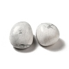 Natural Howlite Beads G-G979-A04-2