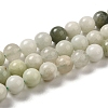 Natural Jade Beads Strands G-H298-A16-03-1