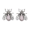 Natural Rose Quartz & Alloy Lapel Pin Brooches GG-N001-04AS-01-1