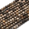Natural Fossil Coral Beads Strands G-G212-6mm-31-2