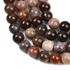Natural Petrified Wood Round Bead Strands G-F266-08-6mm-6