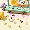 Resin Food Simulation AJEW-CJC0020-005-1-5