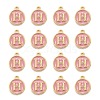 Golden Plated Alloy Enamel Charms ENAM-S118-07H-2