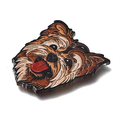 Printed Acrylic Pendants OACR-P033-01B-1
