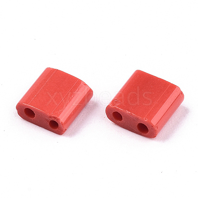 FGB 2-Hole Glass Seed Beads SEED-S031-L-ST45-1