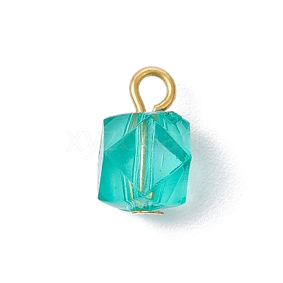 Transparent Acrylic with Iron Pendants PALLOY-JF03680-01-1