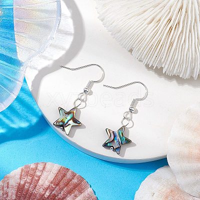 Natural Abalone Shell/Paua Shell Dangle Earring EJEW-JE05915-1