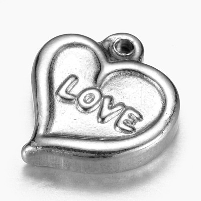Non-Tarnish 201 Stainless Steel Charms STAS-G073-15P-1