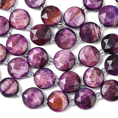 Natural Tiger Eye Beads Strands G-F812-C09-01D-1