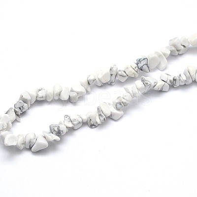 Natural Howlite Beads Strands G-O049-B-40-1