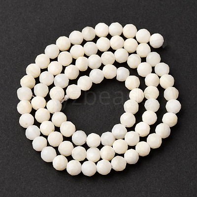 Shell Beads Strands SSHEL-E571-38-4mm-01-1