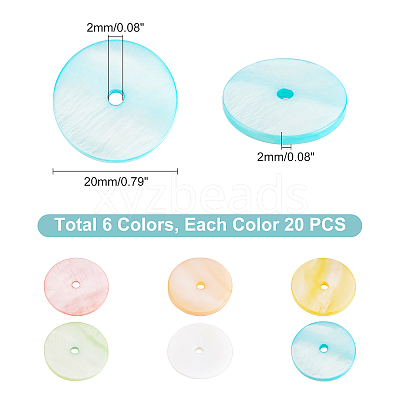 120Pcs 6 Colors Dyed Natural Shell Beads SHEL-PH0001-23-1