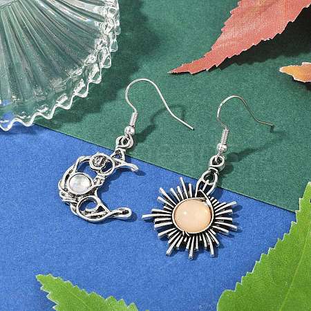 Alloy Resin Dangle Earrings EJEW-JE06370-03-1
