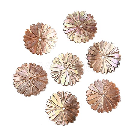 Natural Sea Shell Beads SHEL-F007-22-1