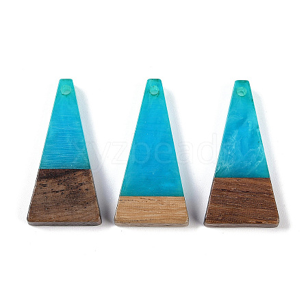 Resin & Wood Pendants WOOD-F015-03D-1