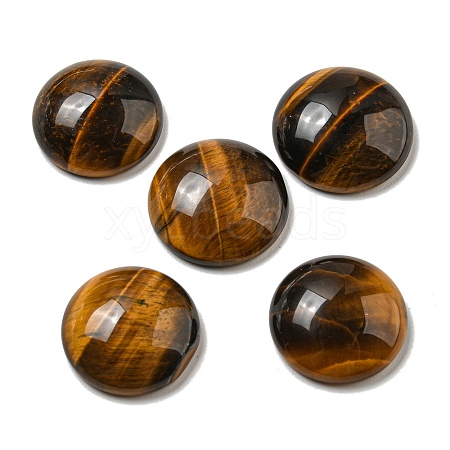 Natural Tiger Eye Cabochons G-C115-02A-36-1