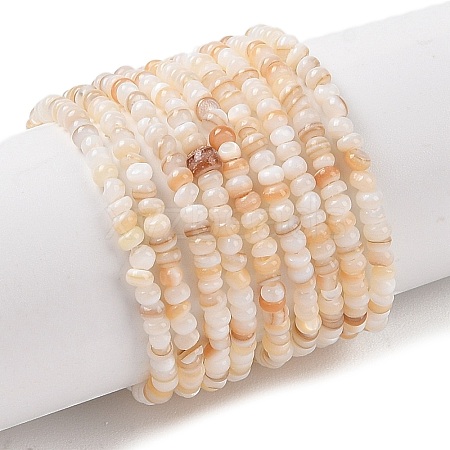 Natural Freshwater Shell Beads Strands SHEL-P017-01A-10-1