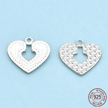 925 Sterling Silver Charms STER-T006-06-1