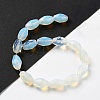 Opalite Beads Strands G-P520-C23-01-3