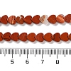 Natural Red Jasper Beads Strands G-M403-A09-02-5