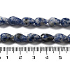 Natural Blue Spot Jasper Beads Strands G-P520-B21-01-5