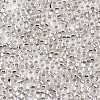 Glass Seed Beads X-SEED-S042-04B-06-3
