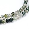 Natural Moss Agate Round Bead Strands G-J303-07-6mm-3