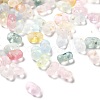 Gradient Color Transparent Acrylic Beads OACR-M023-06A-1