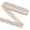 Ethnic Style Embroidery Polyester Ribbons OCOR-WH0060-33D-1