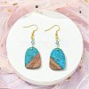 Resin & Walnut Wood Arch Dangle Earrings EJEW-JE05506-04-3