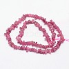 Chips Natural Tourmaline Beads Strands X-G-N0164-29-3